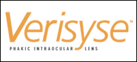 Veriseye Veriseye Logo